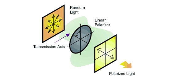 Techniques de Polarisation à Succés
